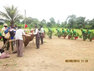 Muleedhu ghwa Bakali.jpg